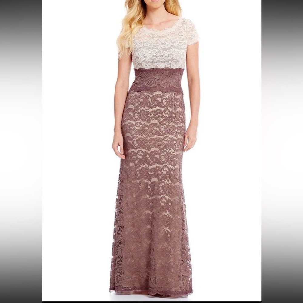 Adrianna Papell Wedding Lace Beige & Dusty Rose Mother of the Bride Dres…